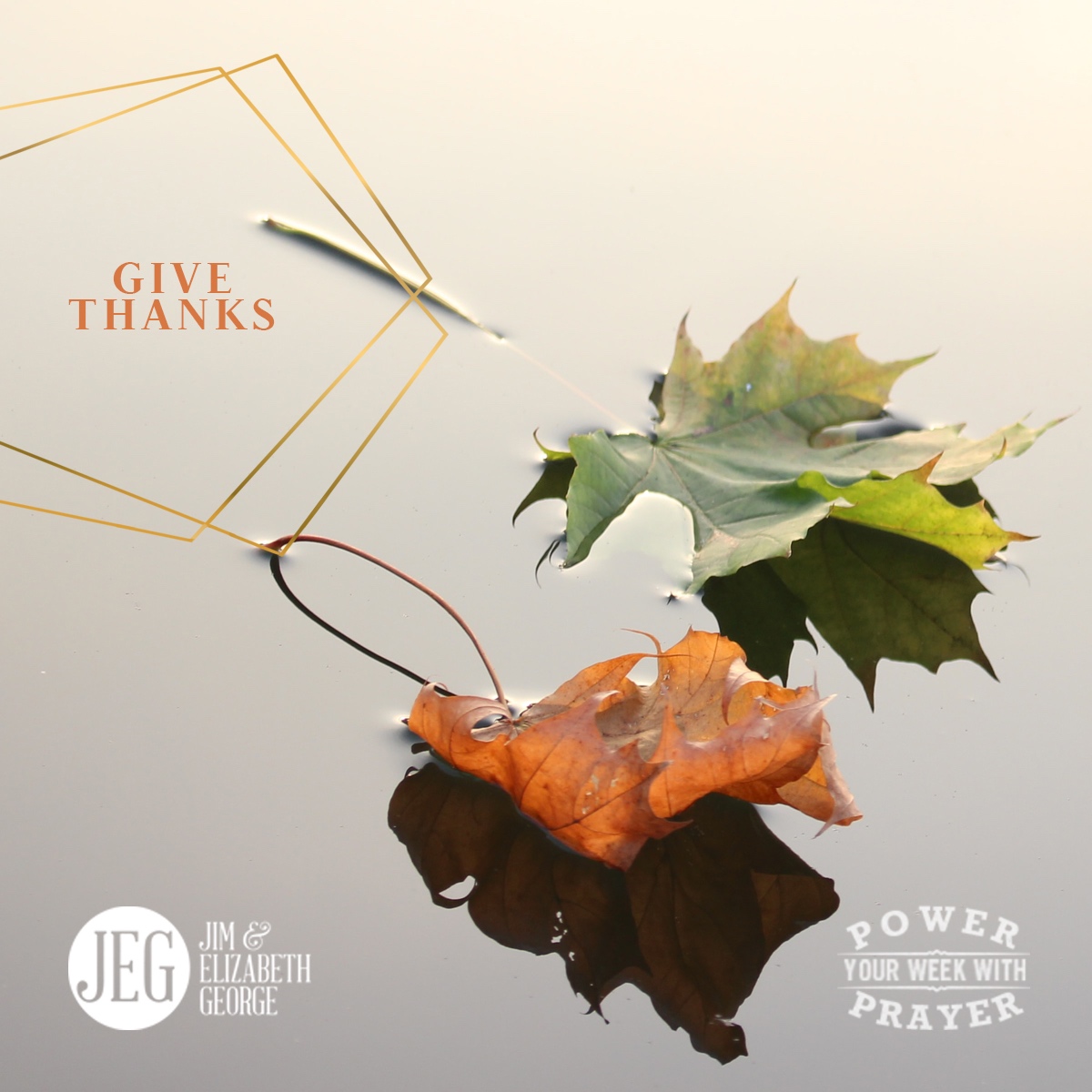 JEGeorgeAuthors's tweet photo. “Let them give thanks to the LORD for his unfailing love and his wonderful deeds for mankind, for he satisfies the thirsty and fills the hungry with good things.” (Psalm 107:8-9)
#pray #prayer #poweryourweekwithprayer #PYWWP #givethanks #unfailinglove #godisgood #thankful https://t.co/FEmj5rtNtZ