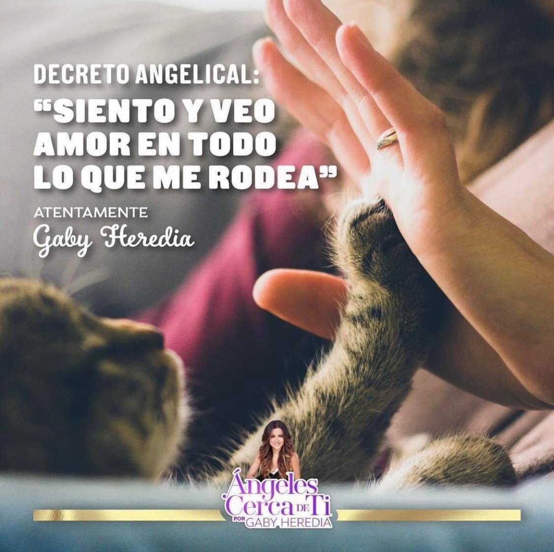 1- Enfoca tu atención en lo que te hace feliz... El Arcángel Jofiel te ayudará.
2- Observa con amor y el mundo te sabrá mejor… El Arcángel Chamuel te ayudará.
3- Que las palabras hirientes se te resbalen... El Arcángel Miguel te ayudará

Con amor
Gaby Heredia
Ángeles cerca de ti