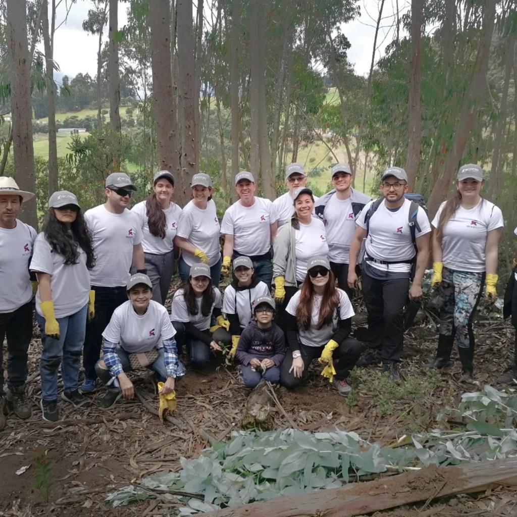 FronteraEnergy's tweet photo. Nuestro voluntariado #YoTransformo realizó la siembra de 500 árboles de diferentes especies. Así contribuimos a reducir la contaminación del aire, ayudamos al establecimiento de los animales, preservamos las fuentes de agua y reducimos la temperatura del suelo #FuturoSostenible https://t.co/Smjfku3Bea