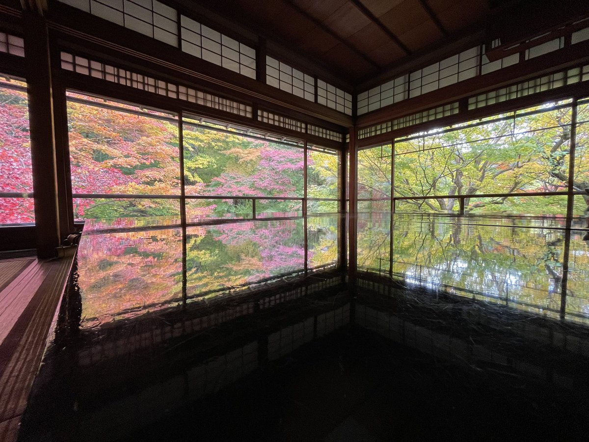 Rinka07070's tweet photo. 京都の紅葉🍁見てきました🫶
初めて行った、瑠璃光院おすすめ✨

#京都
#紅葉ライトアップ 
#清水寺
#瑠璃光院 https://t.co/vfdbzqu8FL