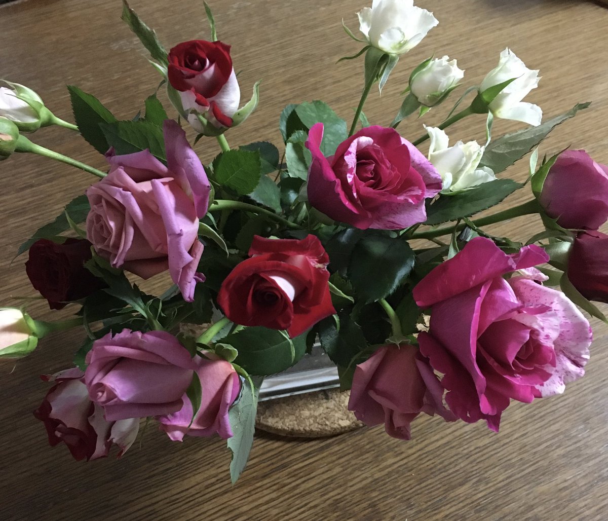 #HappyBirthday🎊 to <a href="/Jeano467/">Jean Cole</a> Wishing you are spending a beautiful day full of floweqs💐🌼🌹🌷❣️ 
Sending this photoes to you, Jean🌹