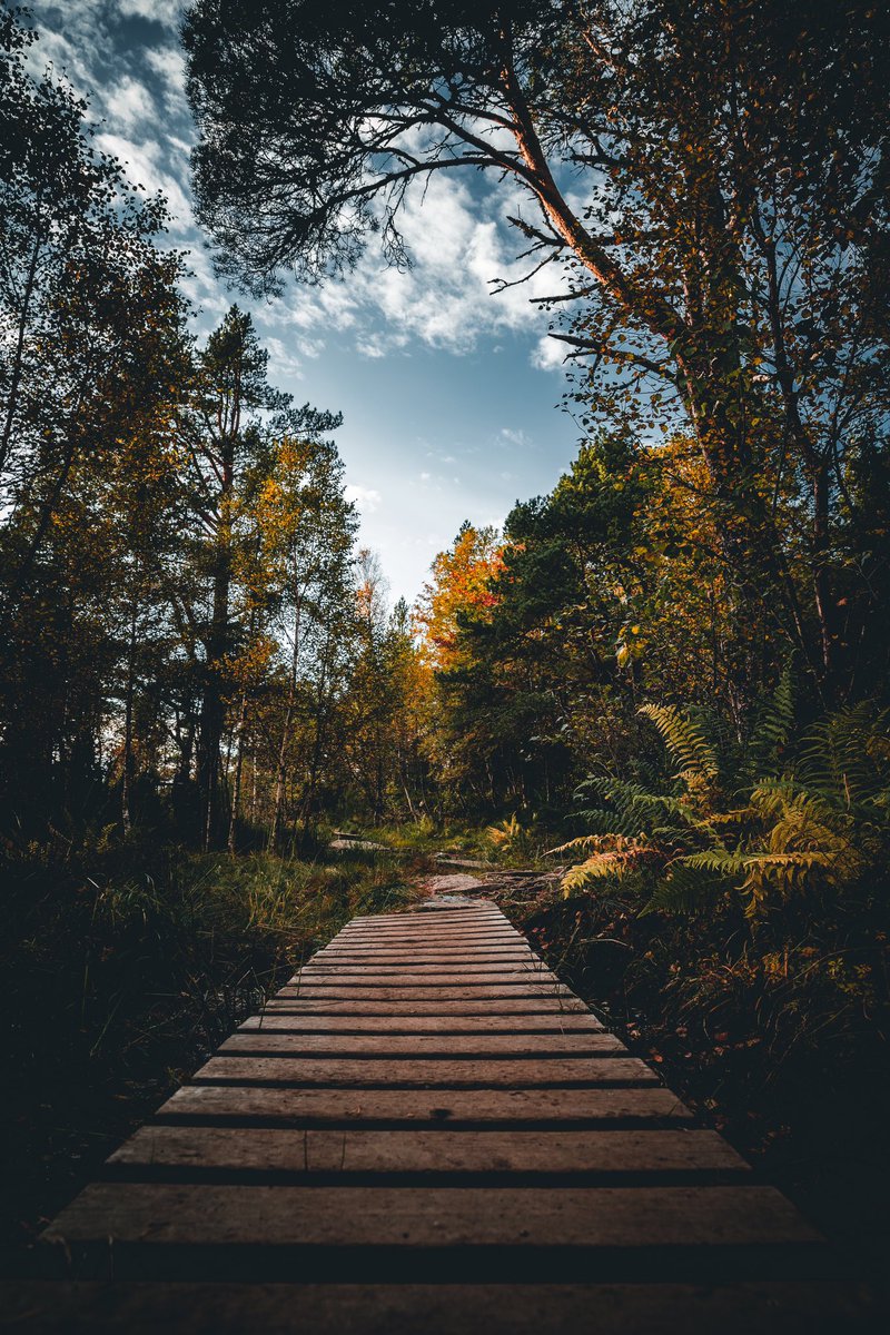 OlsiSimoni's tweet photo. 🥾🍁🍂
#hikingadventures #hiking #photography #photooftheday #photographer #landscape #landscapephotography #Autumn #Fall https://t.co/aJKn5j1PyI