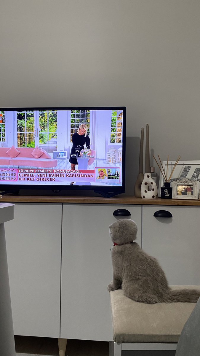 buyuk hayran 🐈‍⬛ <a href="/esraerolda_atv/">Esra Erol'da Programı</a>