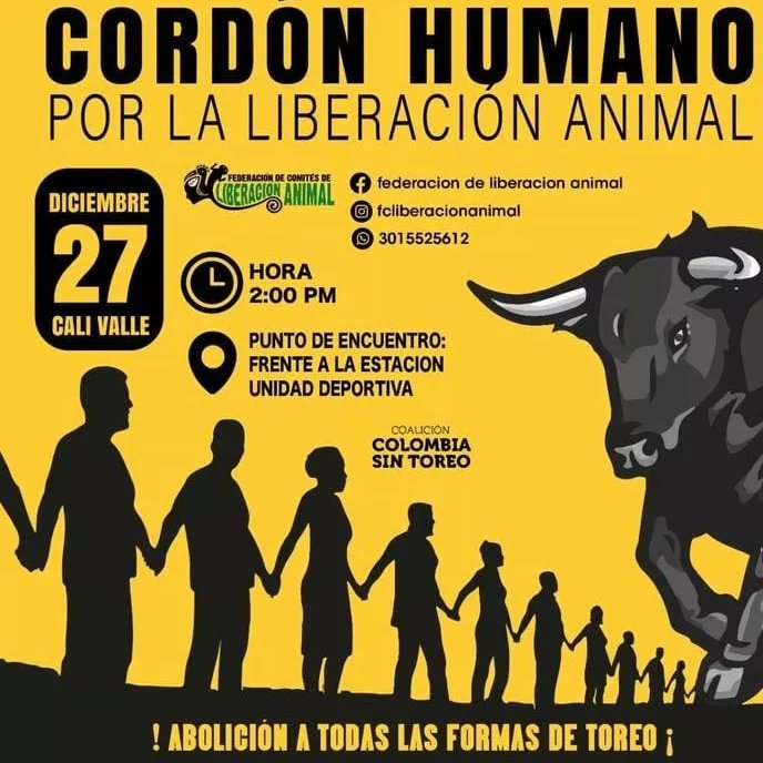 RevistaElClavo's tweet image. #AgéndateConElClavo 😎

¡Te traemos una programación variada llena de cultura!
🔥 @comunicarce
🔥 @VIVEconciertos
🔥 @comunicarcecali 
🔥 @TerryHurtado
🔥 @feriadecaliof
Conoce nuestra programación cultural completa en enlace de nuestra Bio 📣