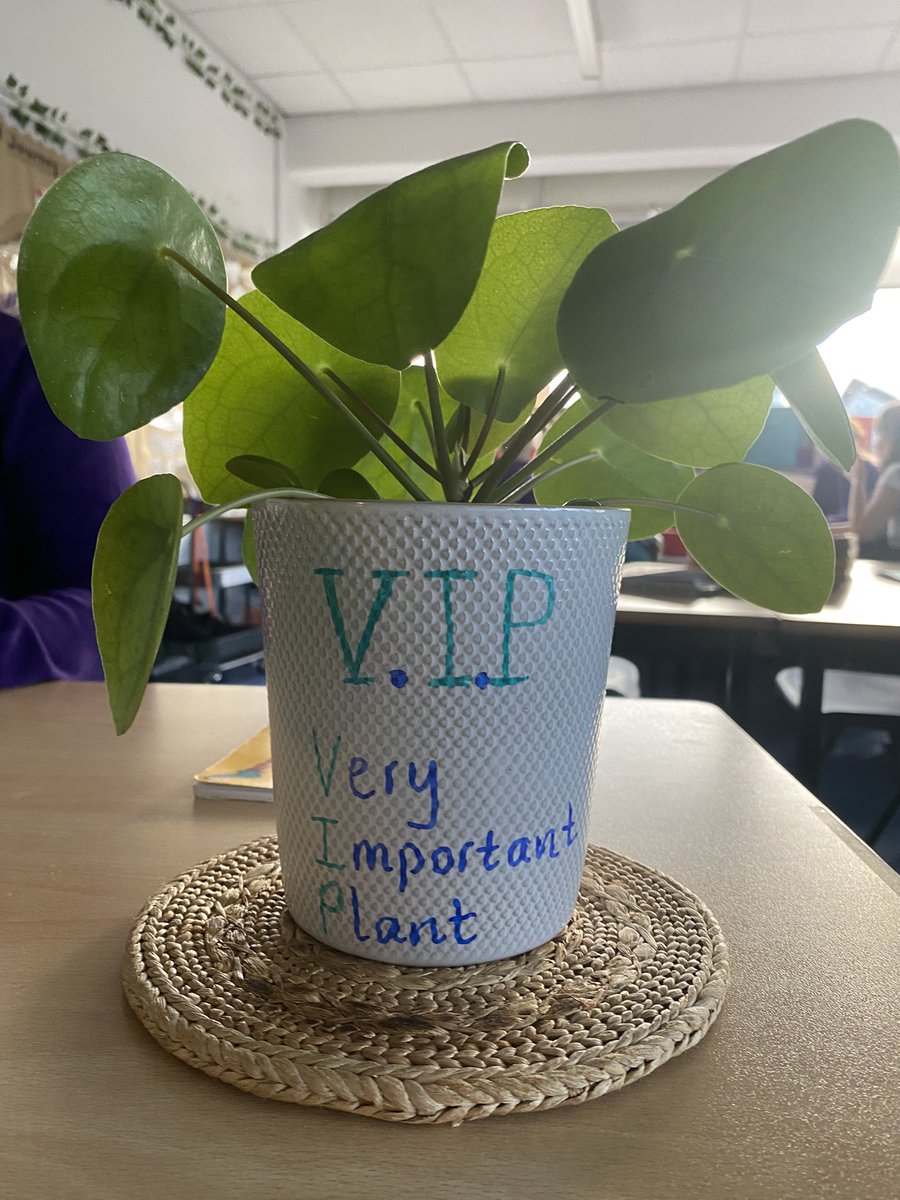 BoghallPSch's tweet photo. Primary 6 were very excited to have their VIP table unveiled this morning, complete with their up-cycled chair! ๐ชดโญ๏ธ Every week a class VIP gets to sit here along with a friend of their choice and some other special privileges! @WlhwbChamps #positiverecognition https://t.co/F2LYS0osxT