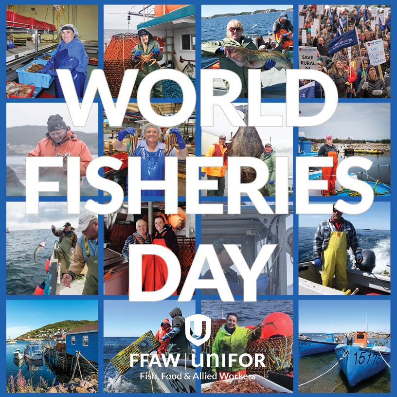 Message from FFAW-Unifor President on World Fisheries Day ffaw.ca/the-latest/new… #nlpoli #worldfisheriesday #WorldFisheriesDay2022