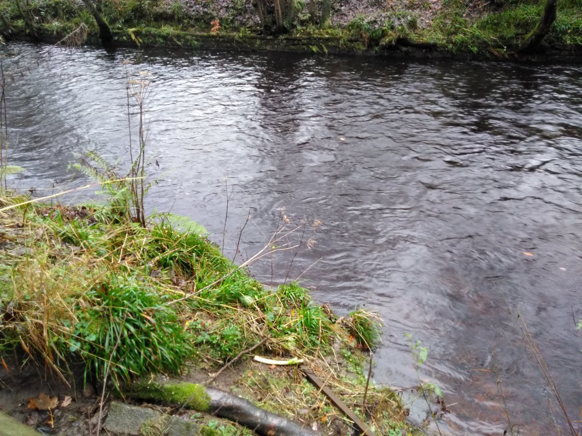 PaulSimber's tweet image. There's a leak at the side of the river Calder in Hebden Bridge, should I report it to @CRTYorkshireNE