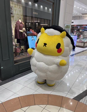 画像 / Picture