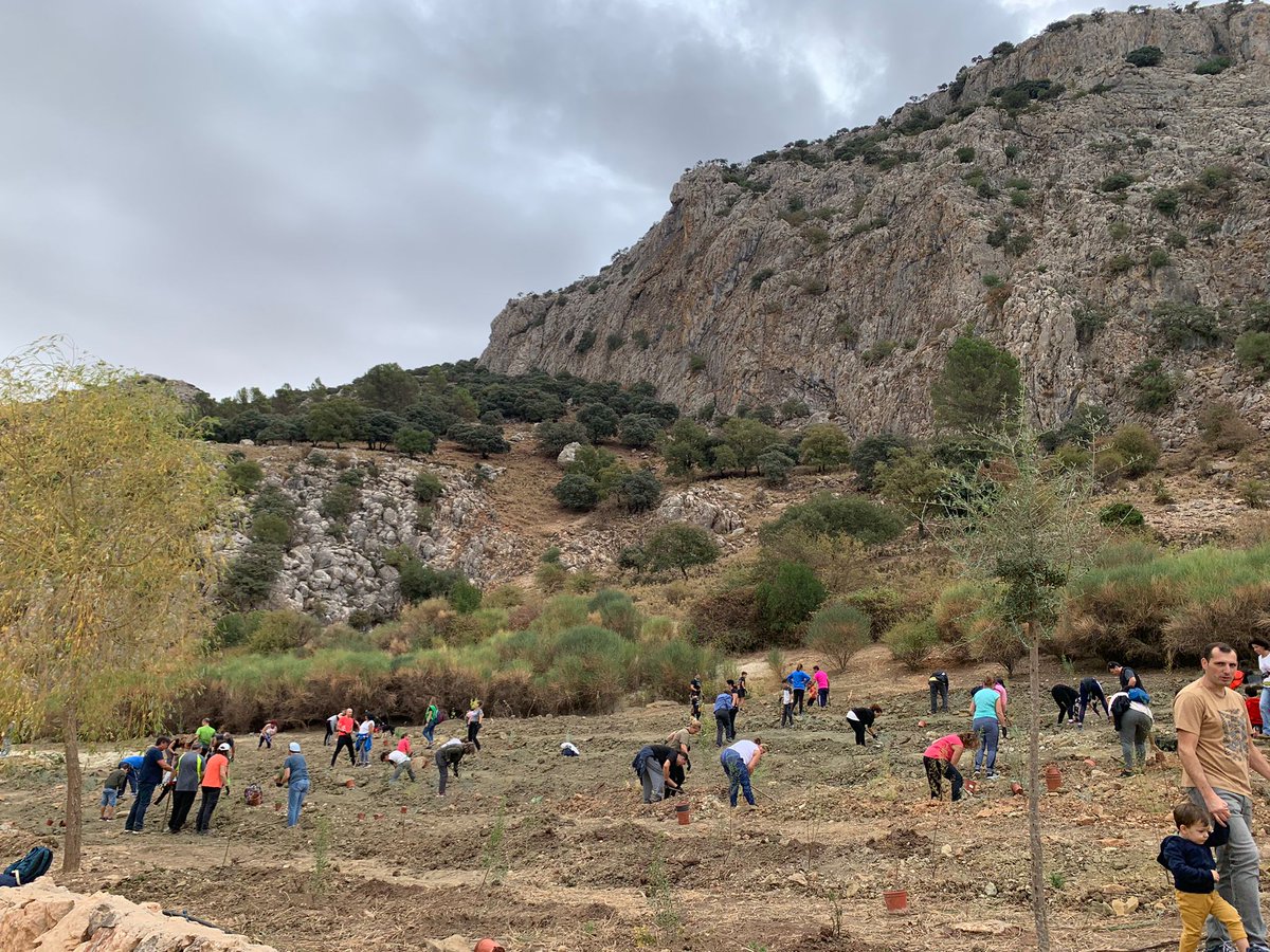 diputacionMLG's tweet photo. Las #Arboladas de la @diputacionMLG terminan con más de 350 participantes y la plantación de más de 1.500 árboles y arbustos.

@CrIsToBaLcOiN subraya que “suponen un éxito de participación y divulgación en materia medioambiental y de cambio climático”.

👉 https://t.co/M2OGE03dap https://t.co/rZPqARQlpZ