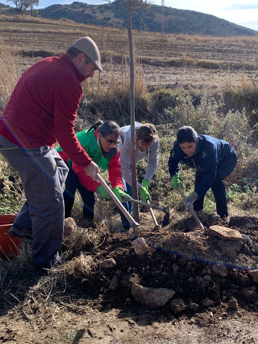 diputacionMLG's tweet photo. Las #Arboladas de la @diputacionMLG terminan con más de 350 participantes y la plantación de más de 1.500 árboles y arbustos.

@CrIsToBaLcOiN subraya que “suponen un éxito de participación y divulgación en materia medioambiental y de cambio climático”.

👉 https://t.co/M2OGE03dap https://t.co/rZPqARQlpZ