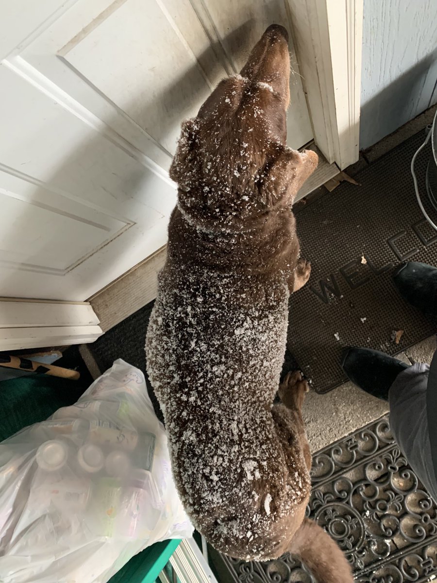 Barry Mehler tweet media