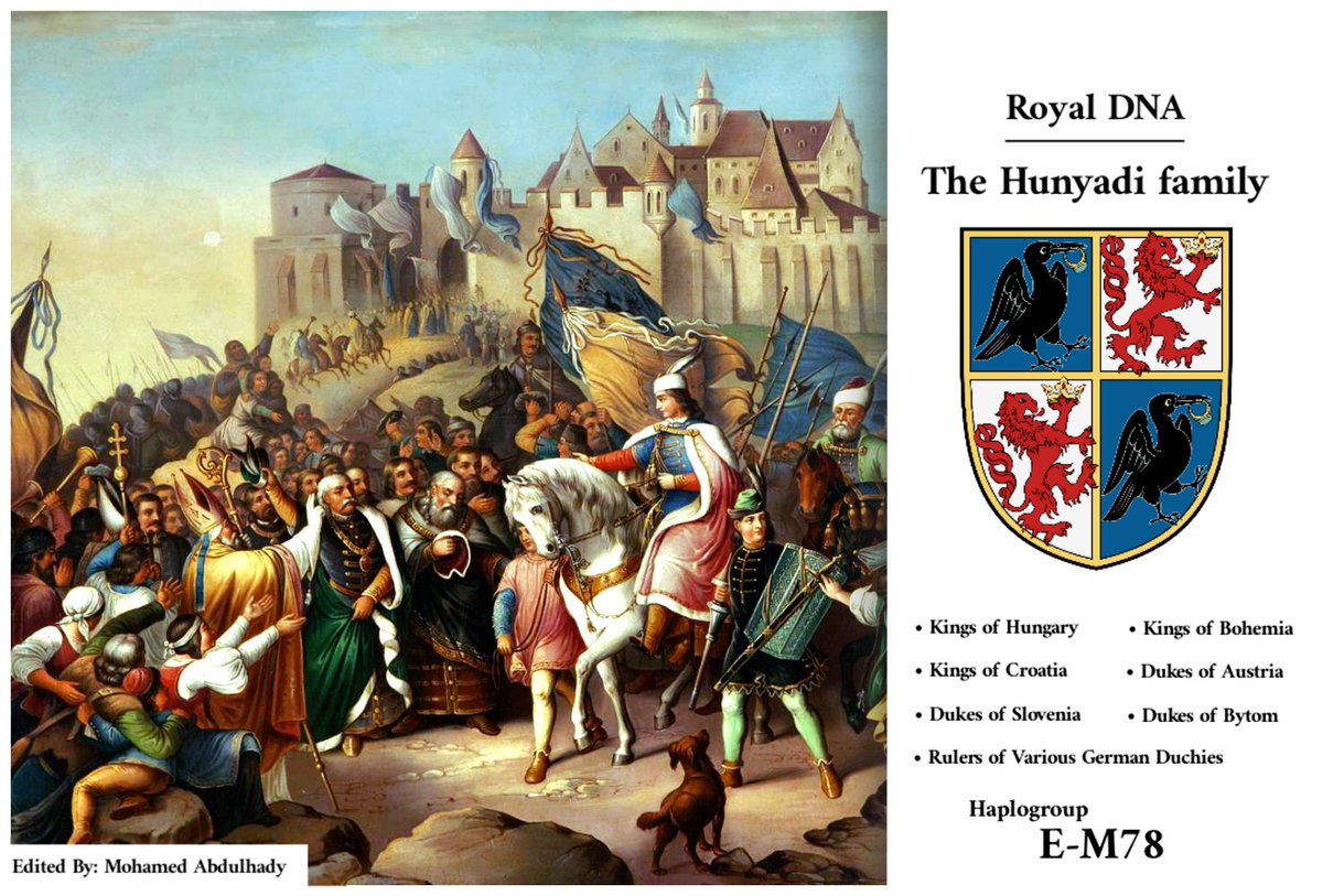 من أهم النتائج الجينية الجديدة 

خروج نتيجة عائلة هونياد (The Hunyadis) وهم ملوك هنغاريا وملوك الكروات وملوك بوهيما التشيكية وحكام النمسا وحكام أكثر من 9 إمارات ومقاطعات ألمانية بالعصور الوسطي علي السلالة E-M78 

وقد حكموا أوروبا مدة 400 سنة بداية من المؤسس يوحنا هونياد سنة 1387م