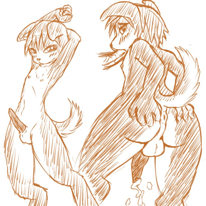 ケショモタ(再掲) 