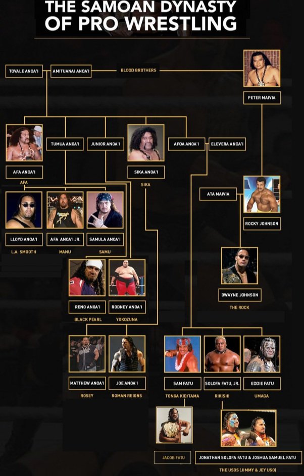 Roman Reigns Family Tree