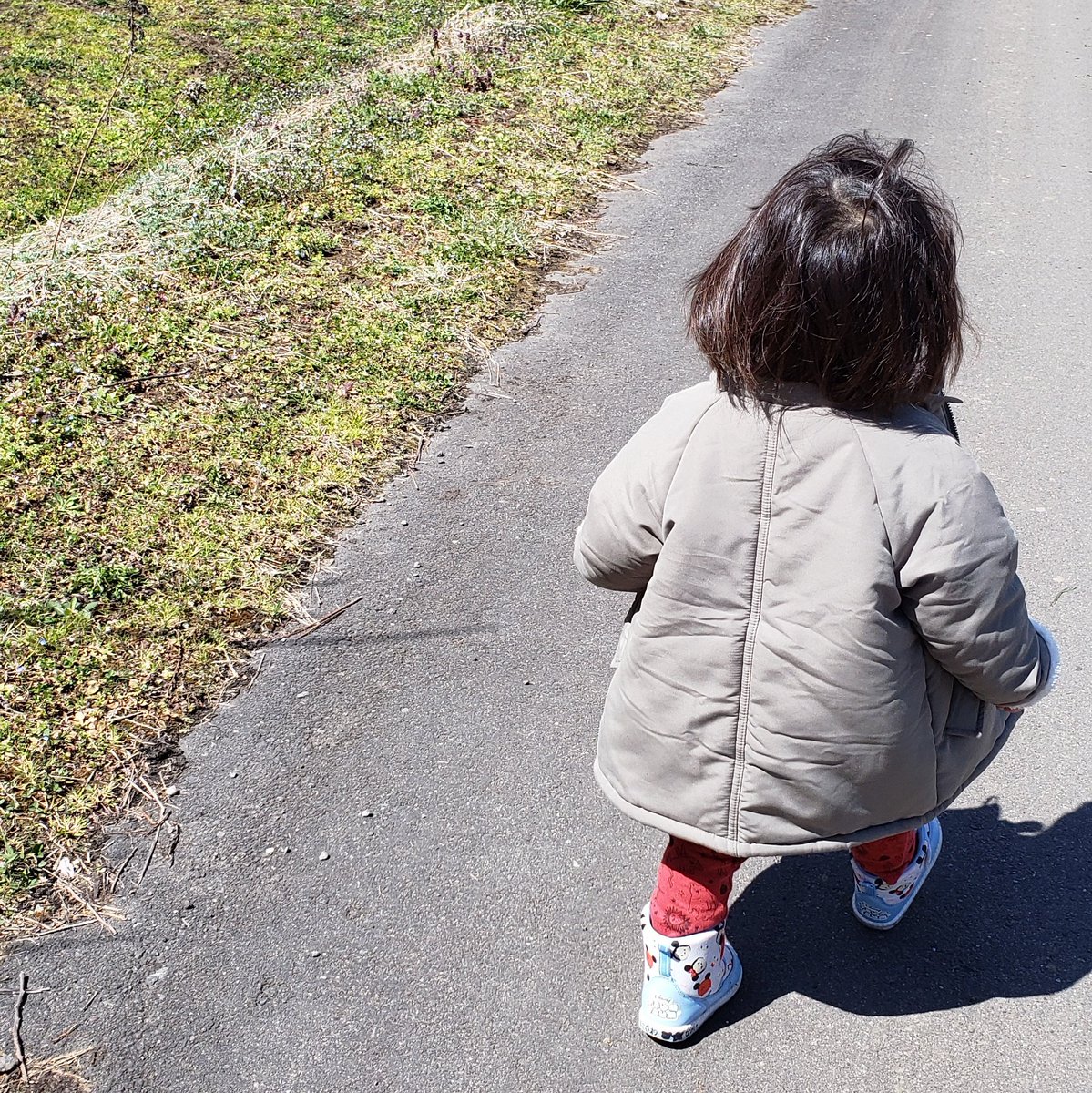 kanipoko's tweet photo. #新しいプロフィール画像 https://t.co/5Z6bAFNpEB