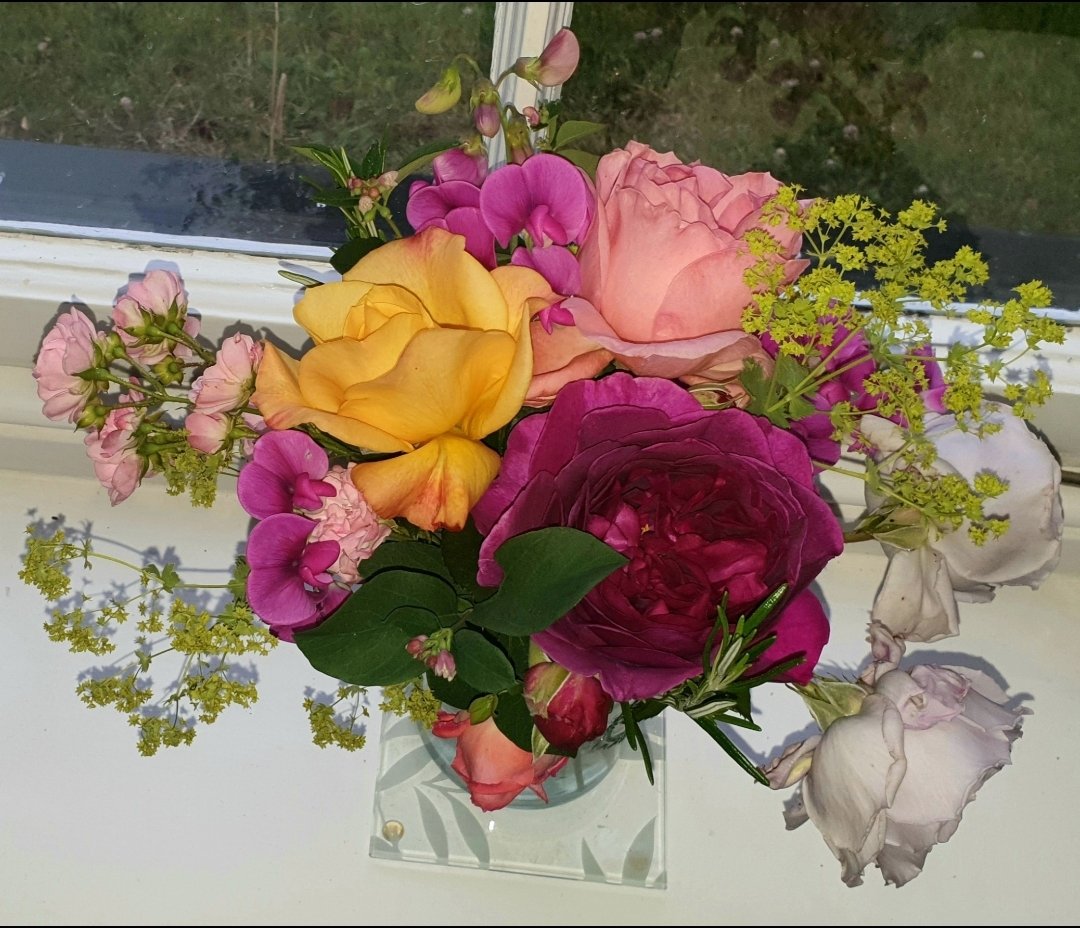 Roses, roses 🌹🌹🌹 #AlphabettyBlooms