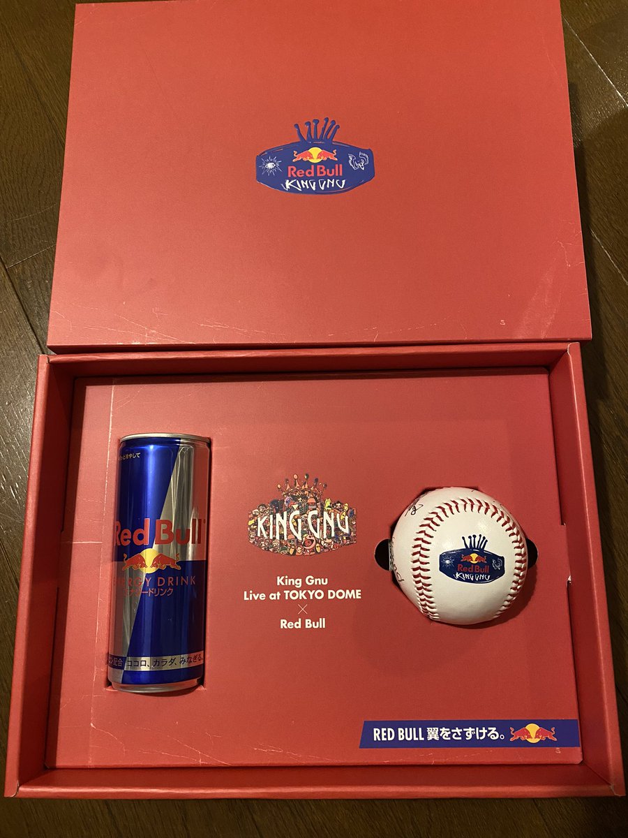 夢のドーム2days遠征から現実世界へ帰って来ました。レッドブルさん