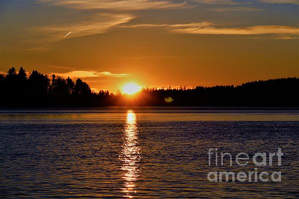 ChancetheAnimal's tweet photo. New artwork for sale! - "Dusk Before Dark " - https://t.co/jk7ban344V @fineartamerica https://t.co/cOGdTDd9ct