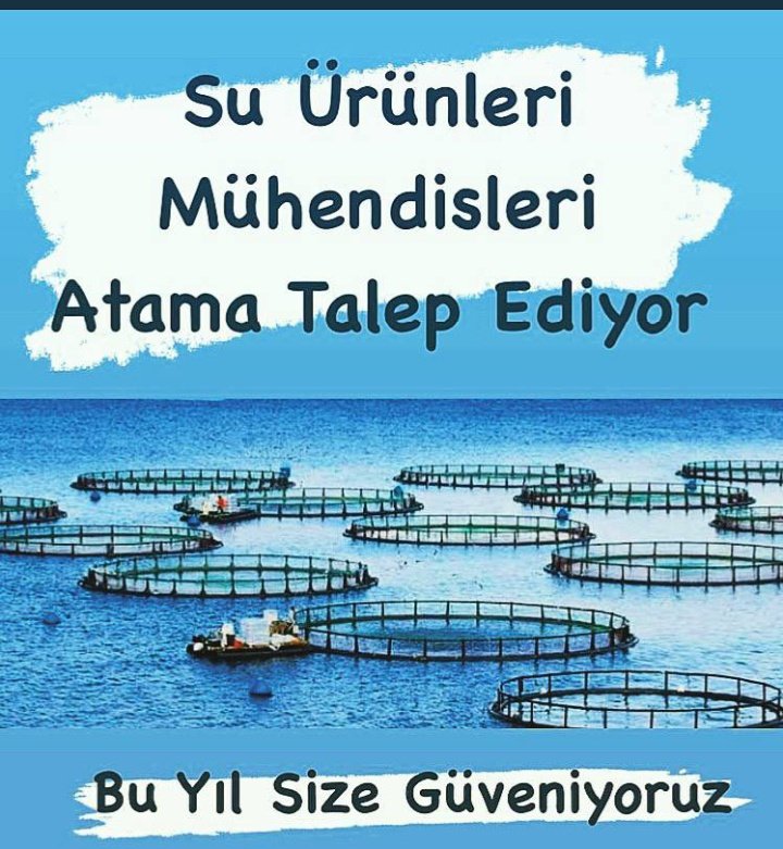 SUMplatform's tweet photo. @VahitKirisci @bsgmtr Biz bu koca mavi vatani 2 yılda 51 su ürünleri mühendisi alımı ile koruyup gelistiremeyiz sayın bakanım, suyun ve içindeki her şeyin halinden de dilinden de en iyi biz anlariz Su Ürünleri Mühendisleri bugün sizden yüksek rakamlarla atama mujdesi bekliyor. @TCTarim @tarimormanpgm https://t.co/13fpopZux9