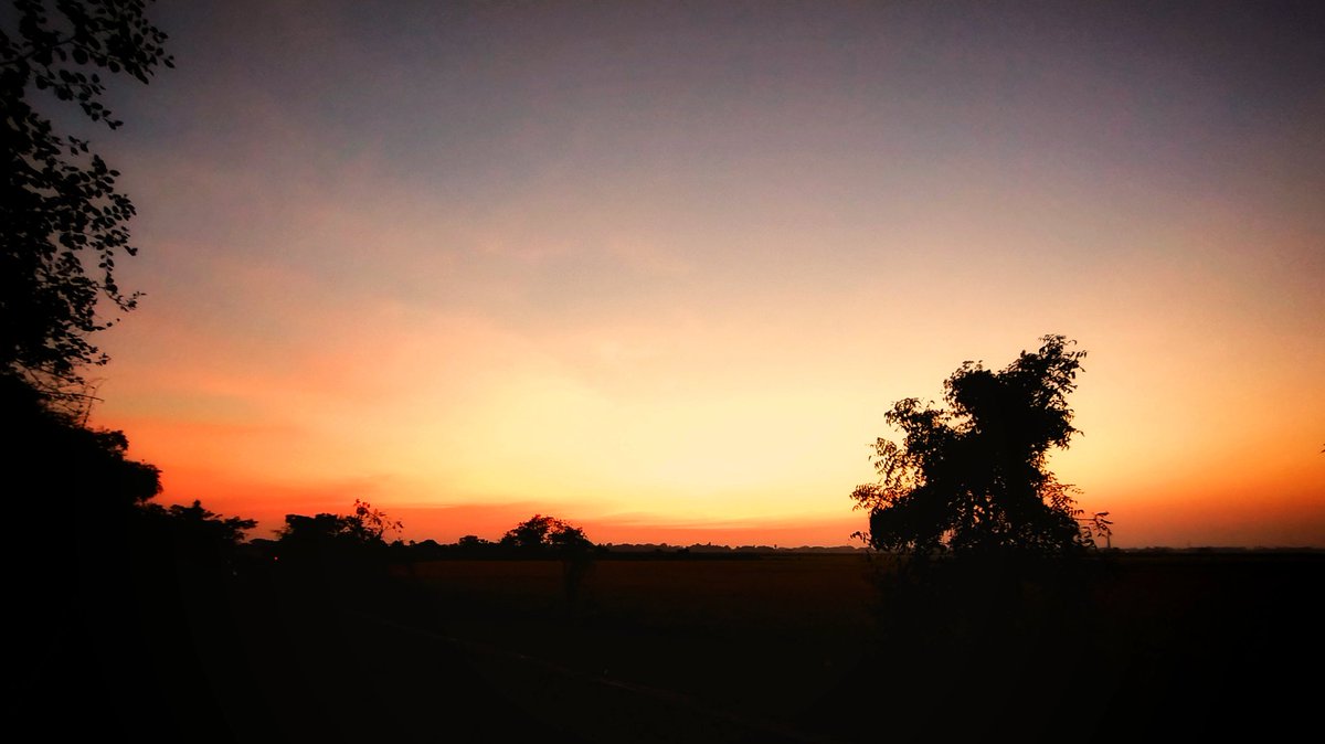 CuriousCounsel_'s tweet photo. Shades of the setting sun. https://t.co/uRXHOBlkD6