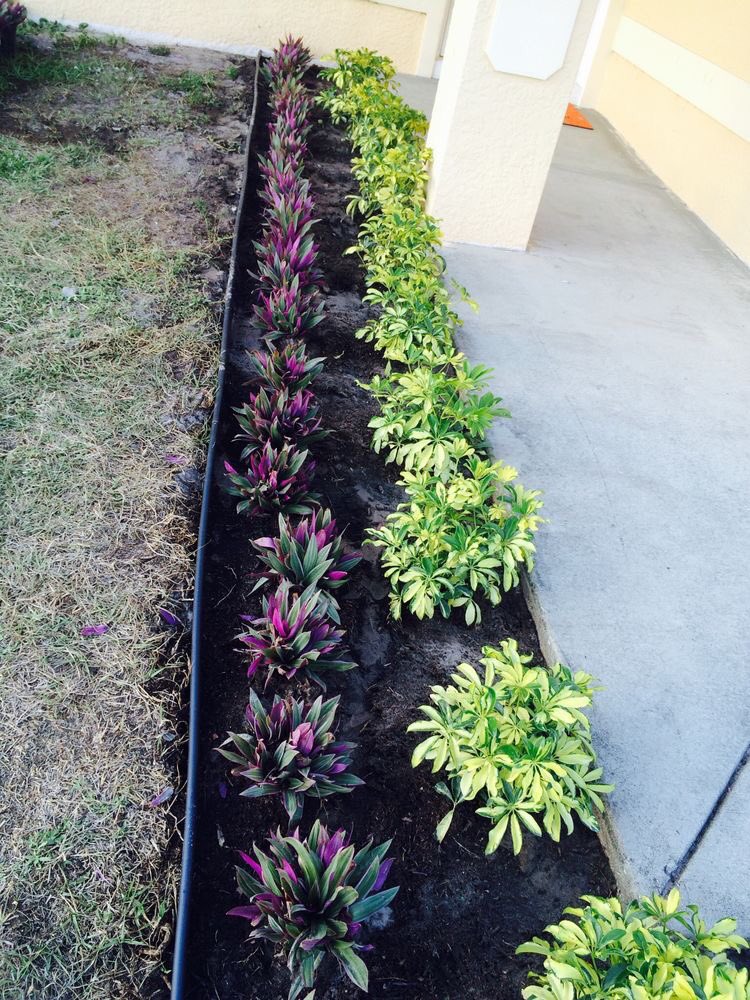 nyanda_works's tweet photo. A glance at a great flower scheme is one way to lower stress &amp; anxiety levels of people within an environment. 

Nyanda Works 
#mergingstructureandnature 
0705099924.

#flower #environment #enviromentallyfriendly #climatejustice #climateaction #flowermagic #architecture  #uganda https://t.co/LoIq0BhzqM