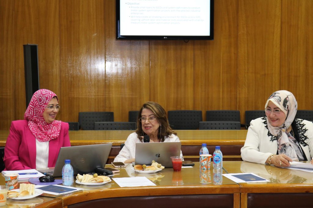 MotorsProgramme's tweet photo. On Wednesday the 2nd of November, 2022, the “Egyptian Programme for Promoting Industrial Motor Efficiency” held its third steering committee in the premises of the Ministry of Trade and Industry to create collaborations for a further more coordinated and efficient implementation https://t.co/MzkxdpDw7o