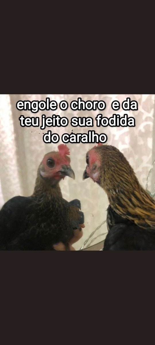 Bom dia