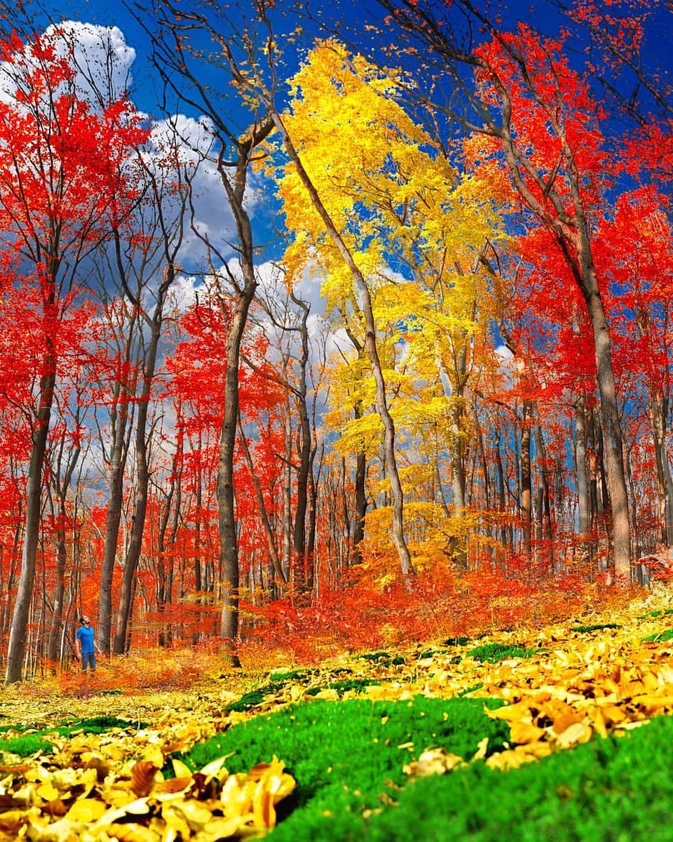 Anastasia45109's tweet photo. #naturelovers https://t.co/PP1FeYx31H