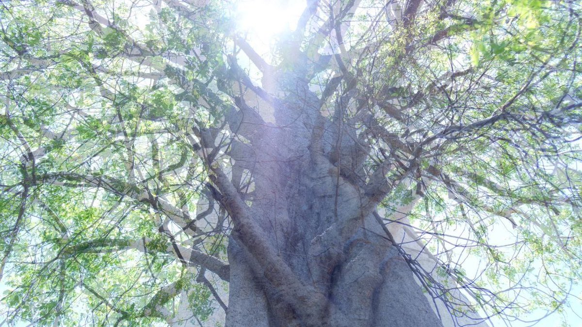 InvisibleBord's tweet photo. Beauty in the Wilderness #Glimpesoftheroad  #whispersofthewilderness #invisibleborders https://t.co/rM1hvkgEne