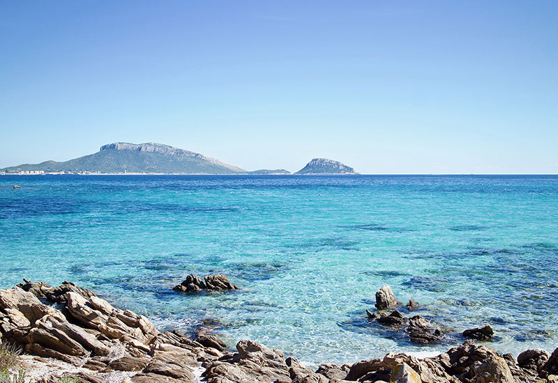 Educazione ambientale, Arpa #Sardegna e associazioni siglano un protocollo d’intesa: previsti seminari su  #Posidonia oceanica e #Rifiuti spiaggiati per promuovere il coinvolgimento diretto di associazioni e cittadini nelle attività svolte dall’Agenzia 
snpambiente.it/2022/11/21/edu…