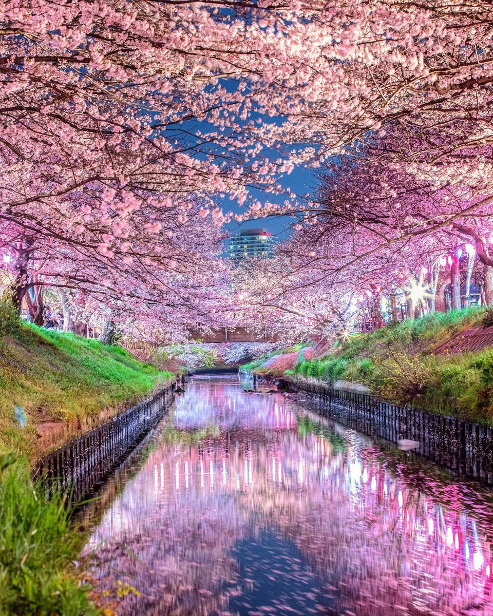 #naturelovers
