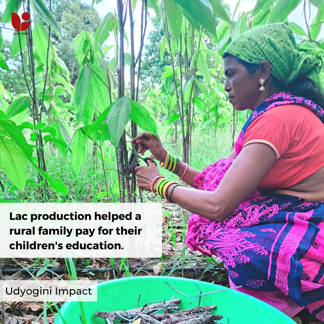 Udyogini1's tweet photo. Read how Pramila, a homemaker in a remote village in Chhattisgarh, helped her family earn a better living and educate her two sons through lac production.
https://t.co/LHCQ4KRghY
#Udyogini #IamUdyogini #RuralDevelopment #SustainableLiving #LacProduction #WomenEmpowerment https://t.co/u7GCQRGKUW