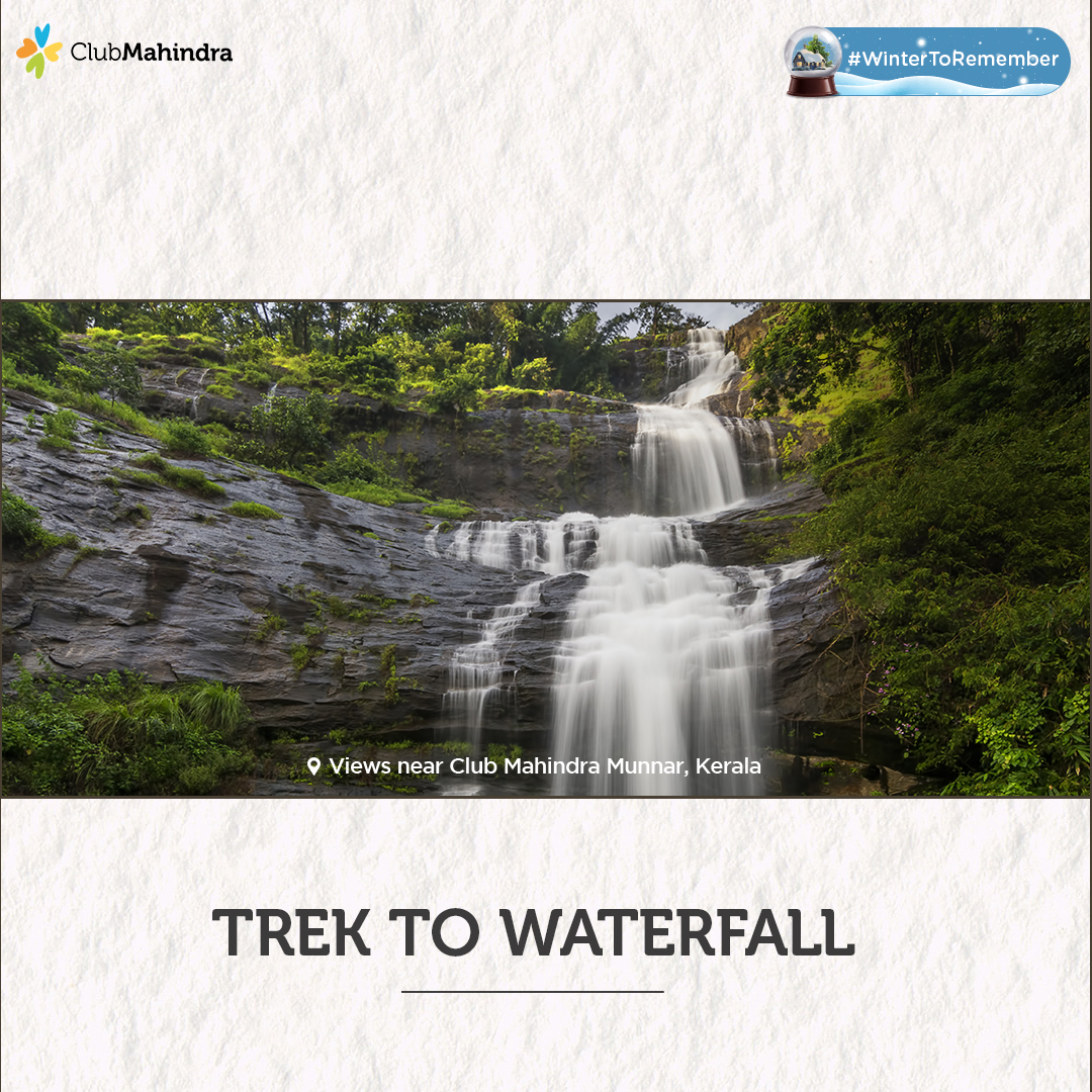 clubmahindra's tweet photo. Wishlists are fulfilled with a #WinterToRemember
A picturesque destination that surprisingly offers travellers the best of tranquility & excitement, Munnar will turn into your familyβs favourite destination! π Visit https://t.co/jZp4AJWBvz to know more!
#ClubMahindra #Munnar https://t.co/e0d6CfGf7w