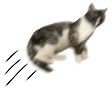 「blush motion blur」 illustration images(Latest)