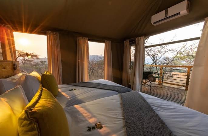 Pretty Mhlongo tweet media