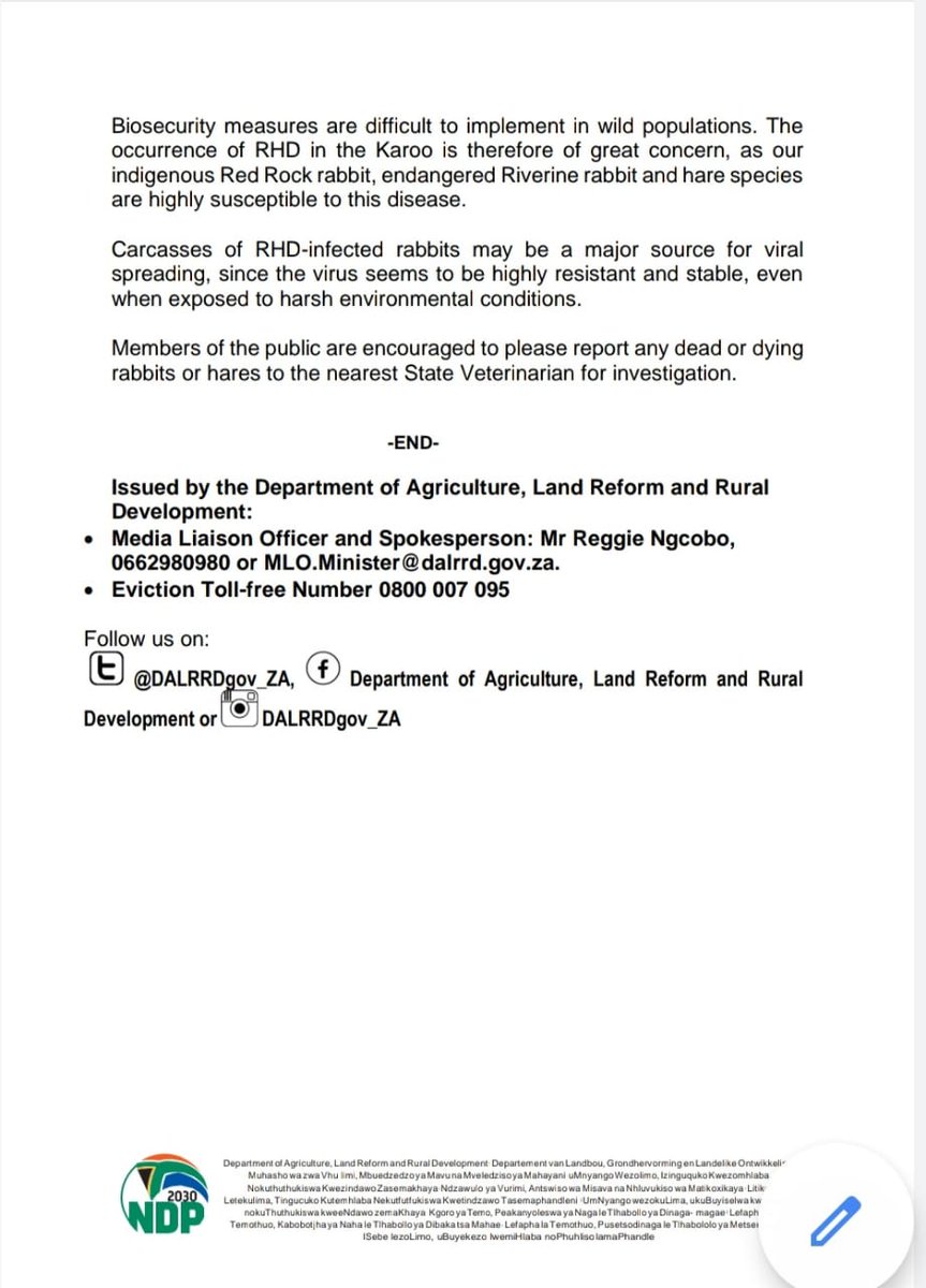 DOAgov_ZA's tweet photo. [MEDIA STATEMENT]
The department announces the outbreak of Rabbit Haemorrhagic Disease (RHD) in the Western and Northern Cape Provinces. @GCISMedia https://t.co/bVIfCVw3iv