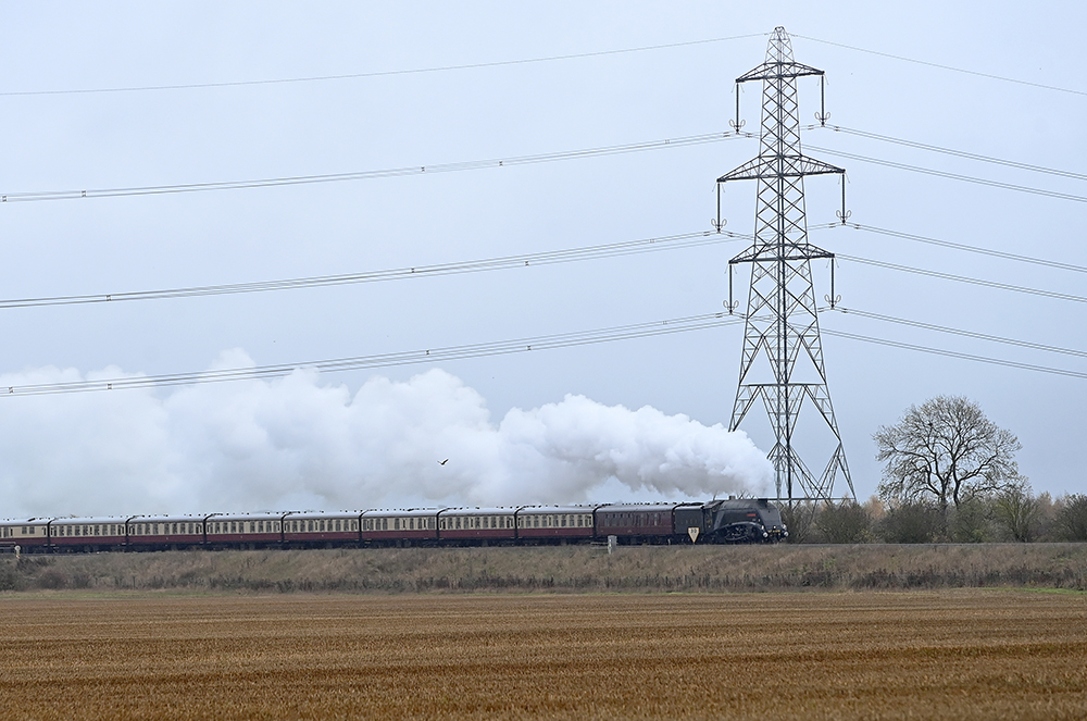 andyjonesfoto1's tweet photo. 'Sir Nigel Gresley' hauls the Steam Dreams Excursion, London-York - 17th Nov 2022. #SteamDreams #SirNigelGresley #classicsteam #steamloco #steamlocophotography #Nikon https://t.co/mdnnxLdsV6