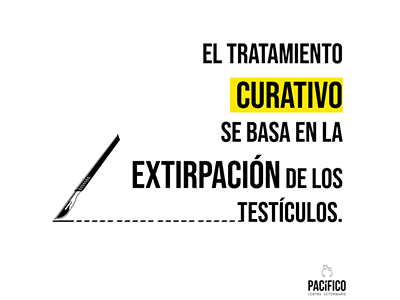 CVPACÍFICO tweet media