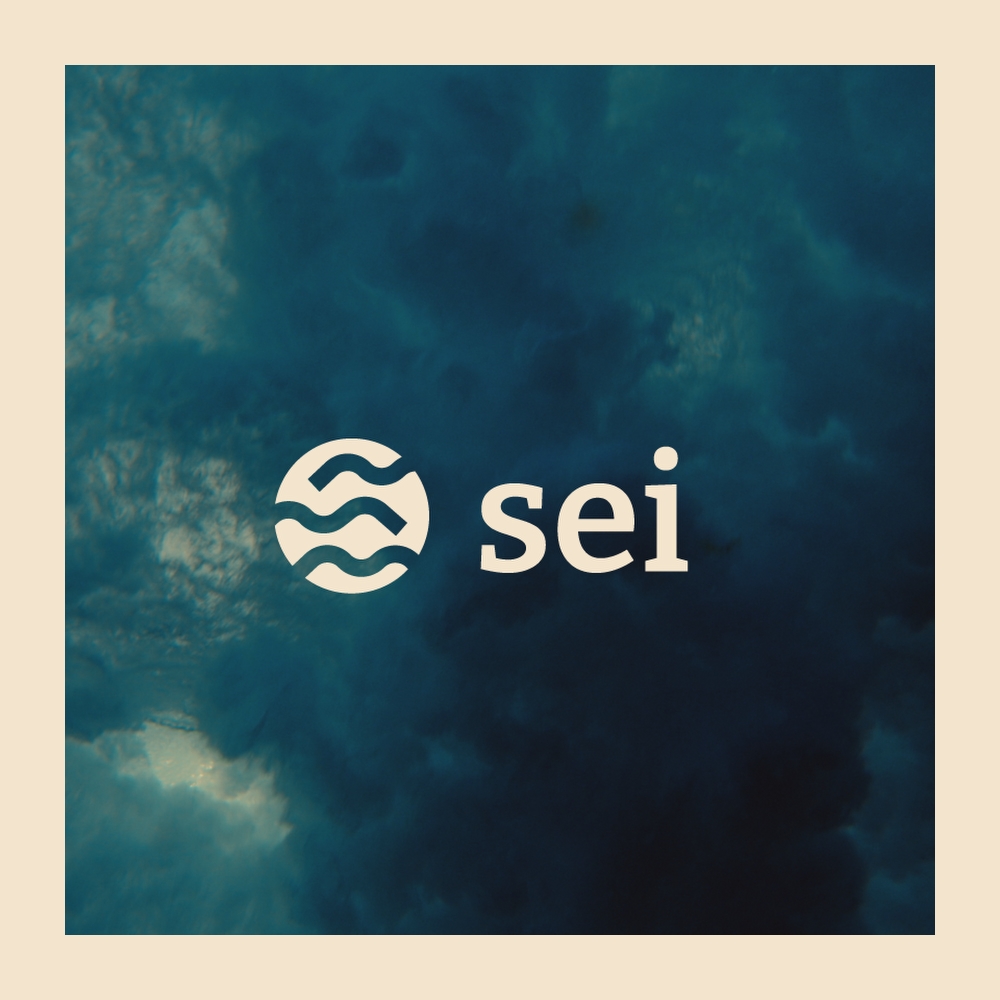 crypto_diam0nd's tweet photo. Discover  the apps and projects built in the Sei (@SeiNetwork) ecosystem together:

#sei #seinami #cosmos #blockchain https://t.co/RC5EbP76mn