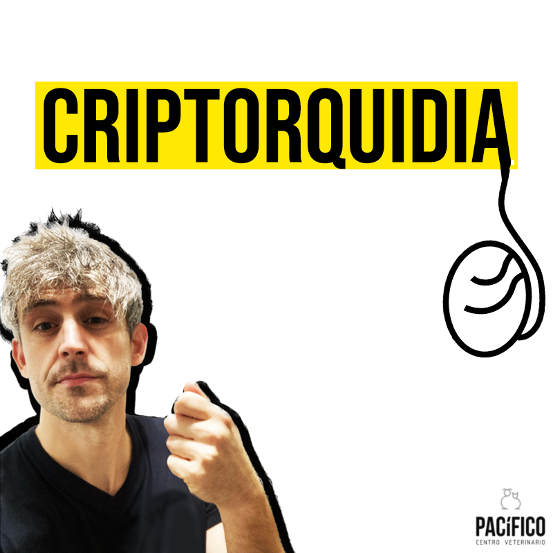CVPACÍFICO tweet media