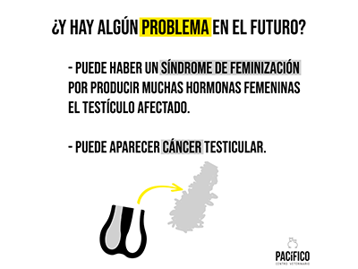CVPACÍFICO tweet media