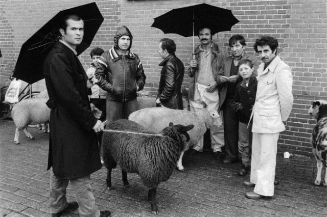 Abdelkarim El-Fassi tweet media