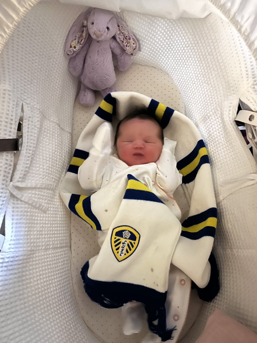 muzza22202's tweet photo. New addition to the Muzza Clan. 

Revie Murray 💗 https://t.co/k2fbtyrcyQ