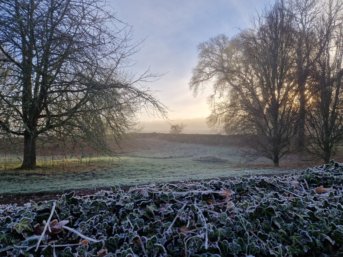 CawdorEstate's tweet photo. ❄️Winter has definitely arrived in Cawdor. We have a very pretty view from the office this morning, with the sun trying to break through the fog ❄️.
#winter2022 #frosty #cawdor #scottishhighlands #winteryscene #estatelife https://t.co/w08U4VCsaT