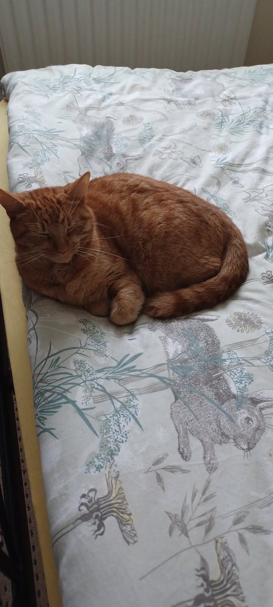 LifeastheGinge1's tweet photo. We're back....... took some time away from Twitterland to look after our mum who's not been feeling well. But now we feel we can return https://t.co/qL8U3AidA9