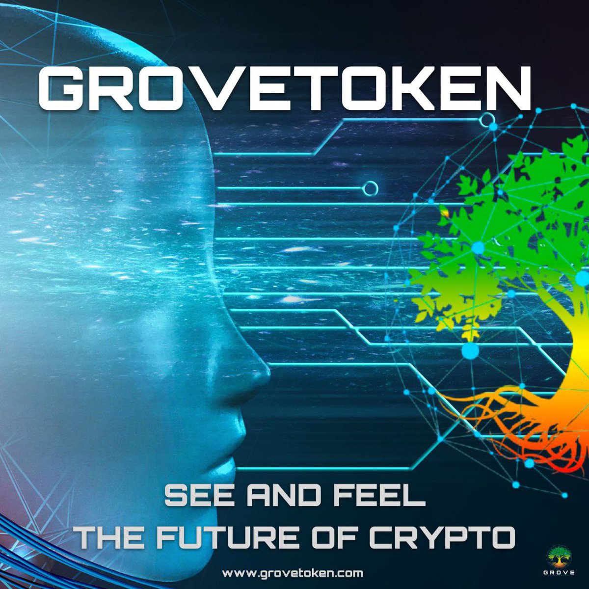 CryptoE49162558's tweet photo. @BSCGemsAlert #GroveToken #GroveX #GroveCoin #GroveM #GroveFarmingSolutions #GroveGreenArmy #GroveHotel #GroveHQ #GroveConstruction #GroveEcosystem https://t.co/5vlbFh35cG