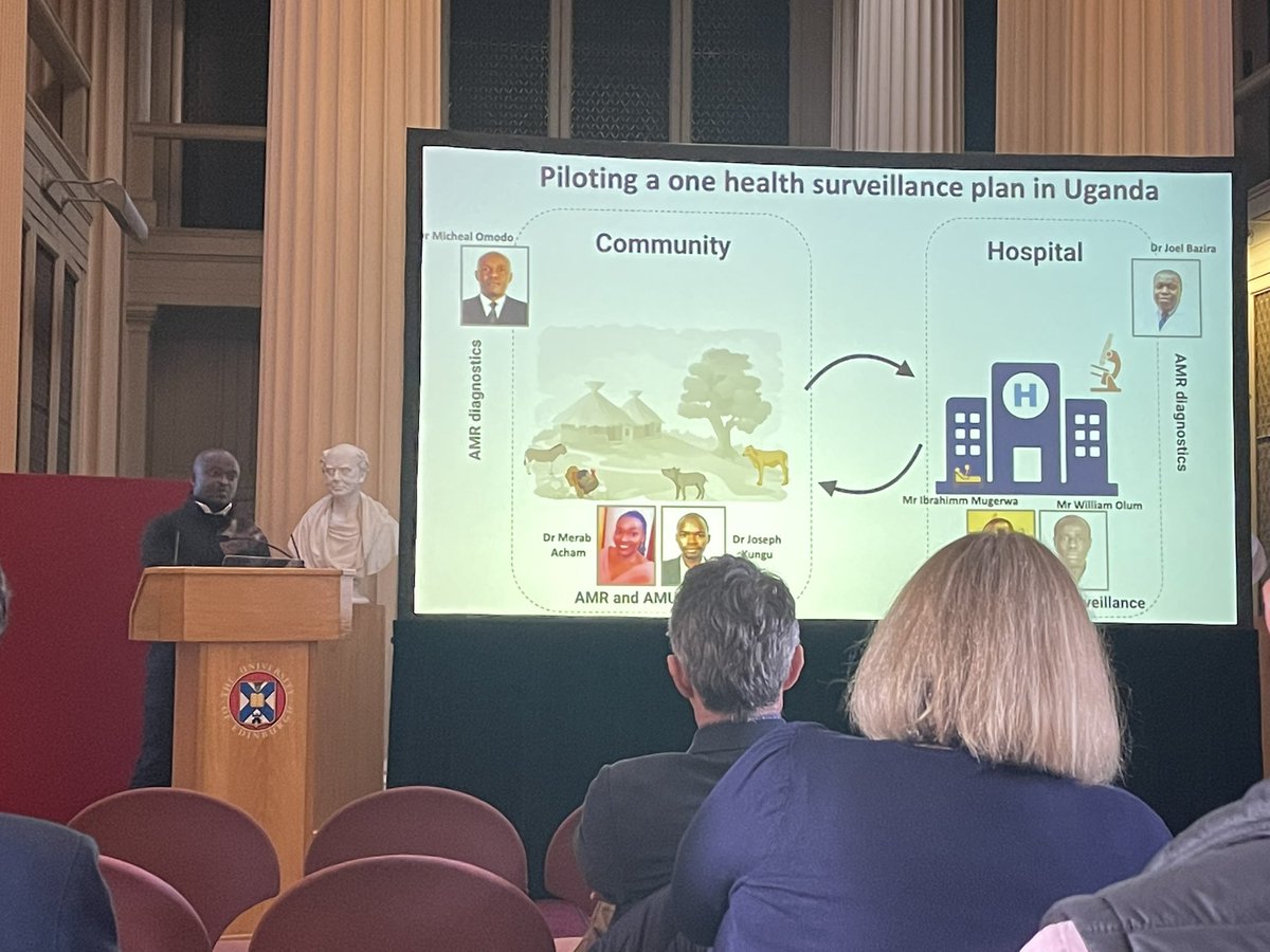 KaylaWang 王崟淼 tweet media