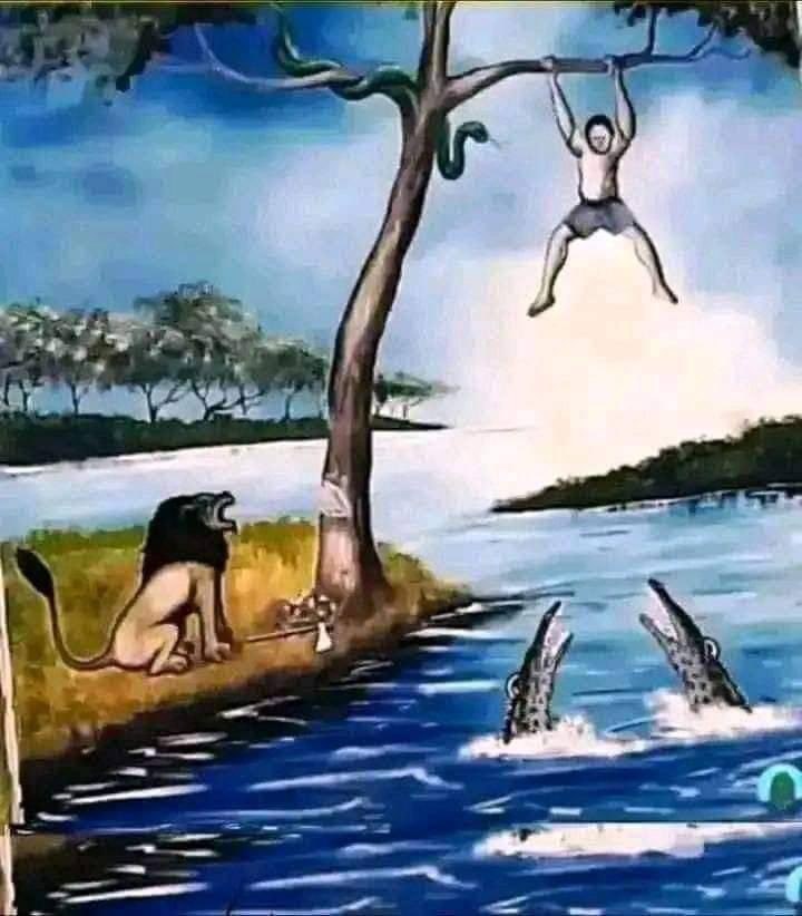 One genius has found the solution to this problem finally