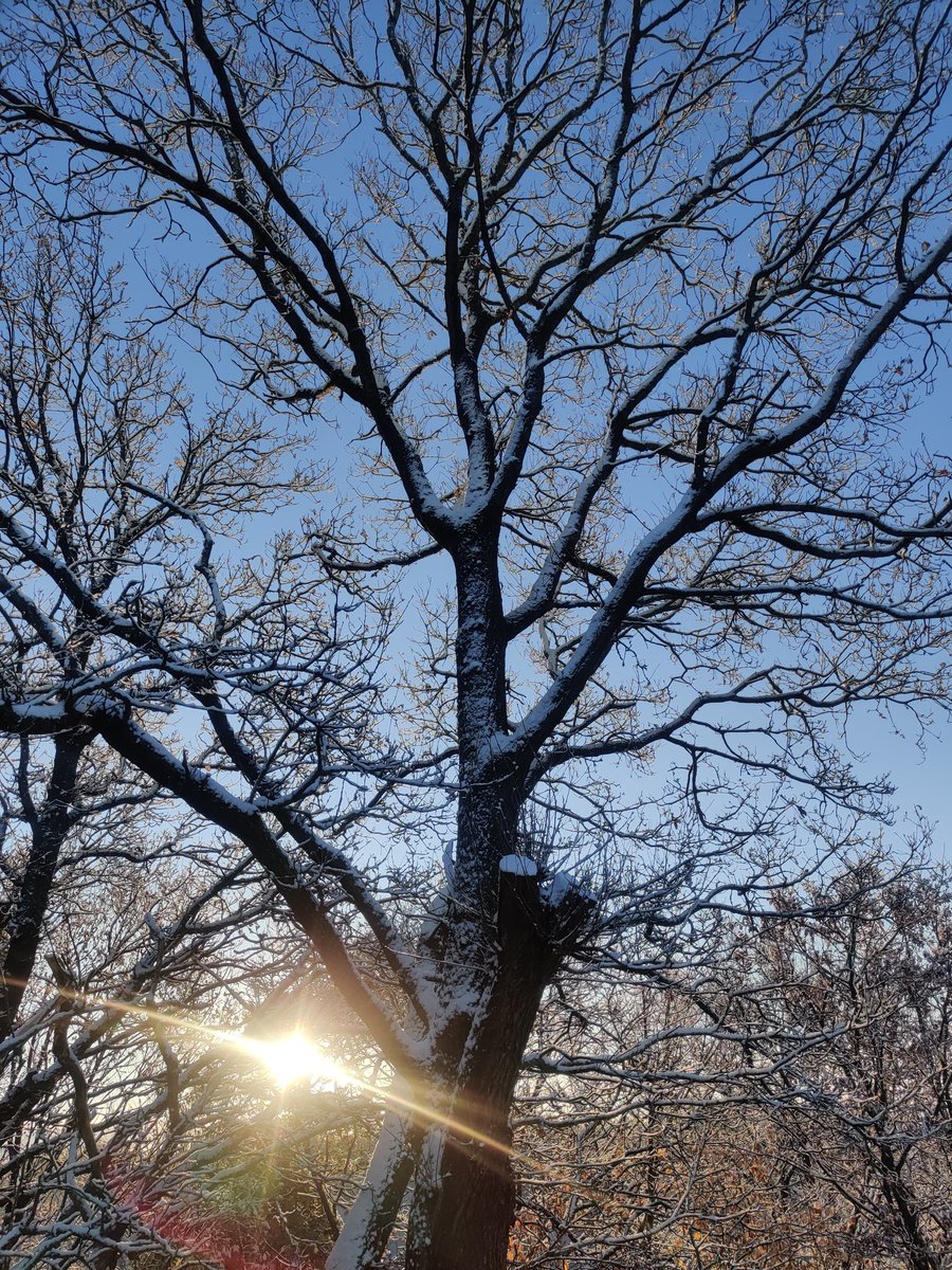 EmilieLoyche's tweet photo. #winteriscoming https://t.co/E8n1cAdQLr
