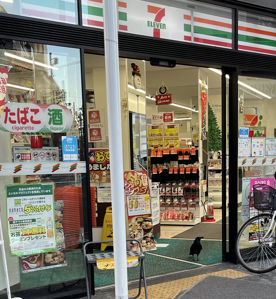 HEDERA37's tweet photo. 何でカラスが店内から出てくるんだよ https://t.co/M2w22ckhjt